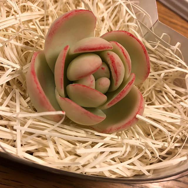 hamuさんの実例写真
