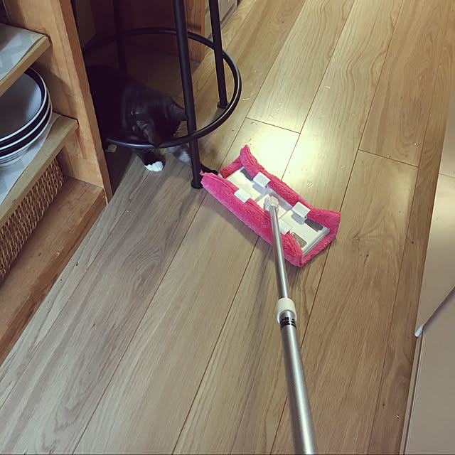 masamasaさんの実例写真