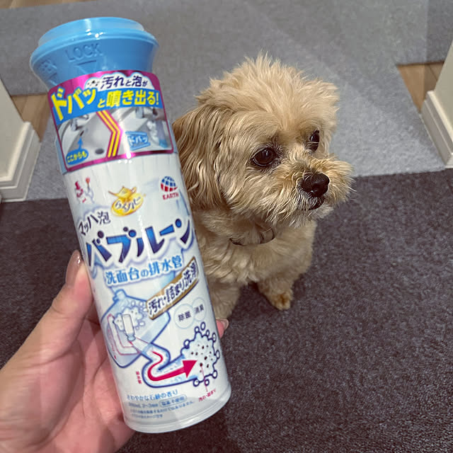 ikt.tamaさんの実例写真