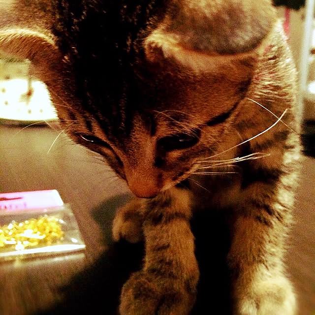 teteさんの実例写真