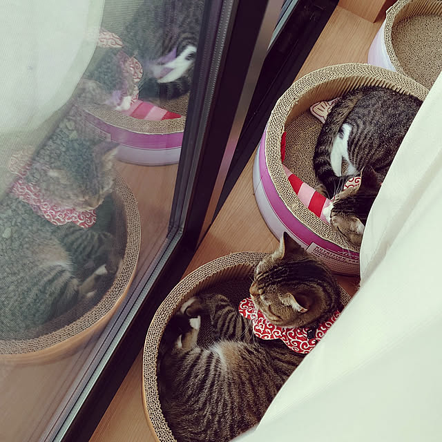 mochicoさんの実例写真