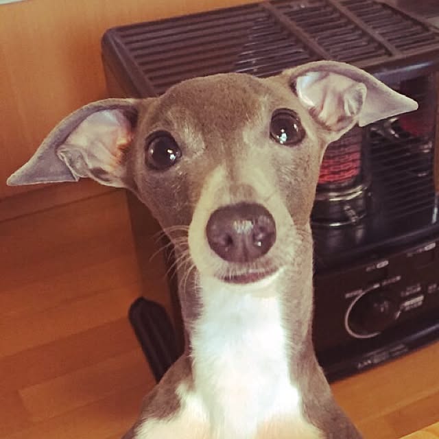 atsuさんの実例写真