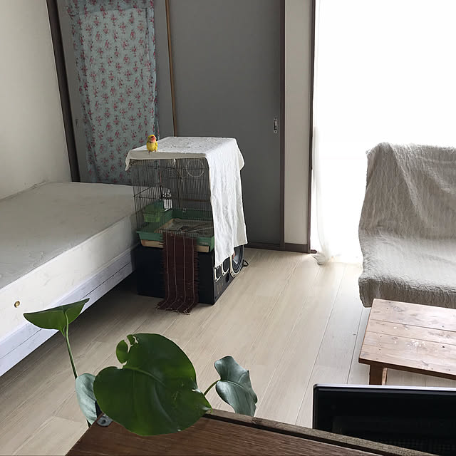 keinagen91さんの実例写真