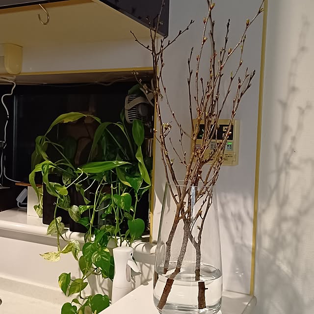 saeさんの実例写真