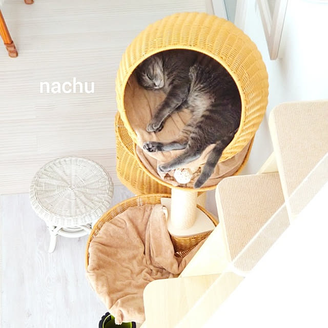 nachuさんの実例写真