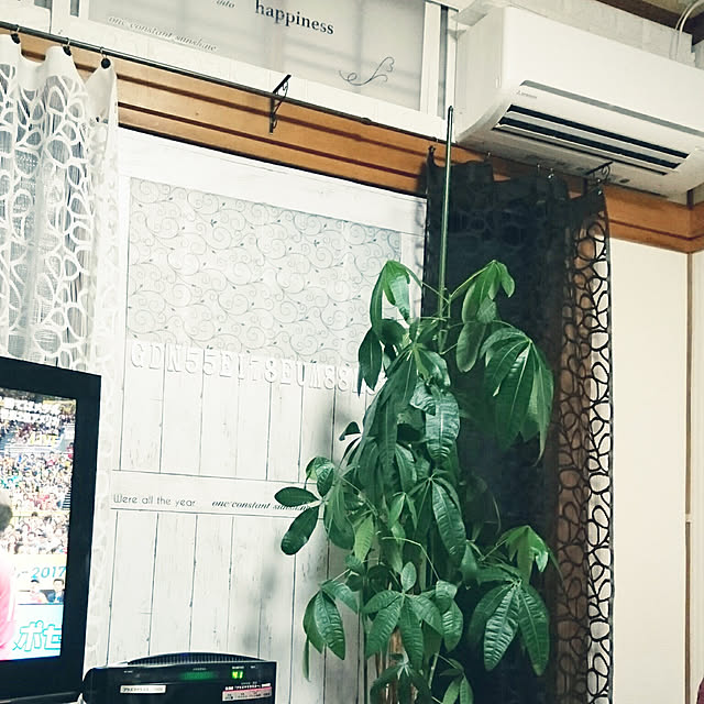 ririさんの実例写真