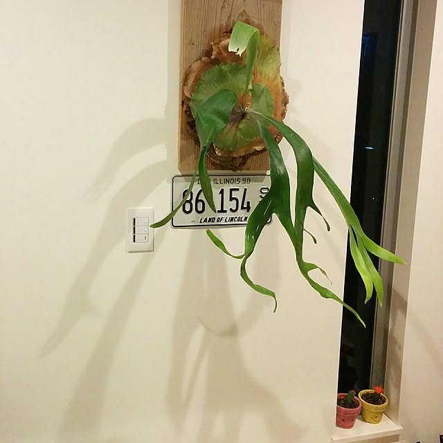 Isseiさんの実例写真