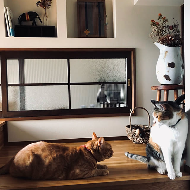 Maruさんの実例写真