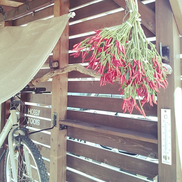 KAZUさんの実例写真