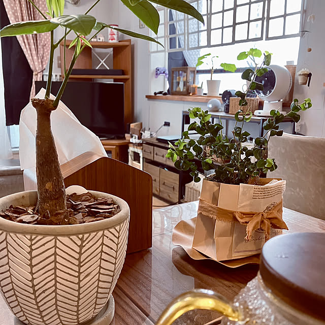 happynikoさんの部屋