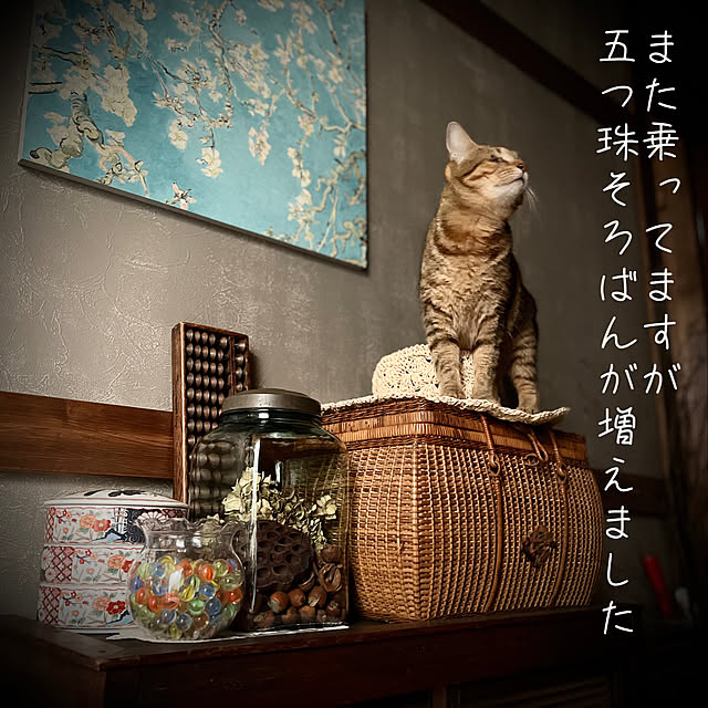 marusanさんの実例写真