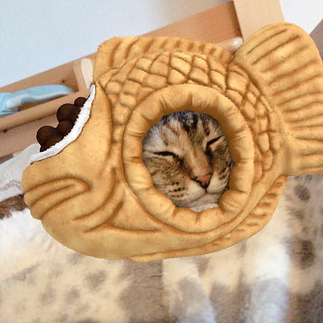 oasisさんの部屋