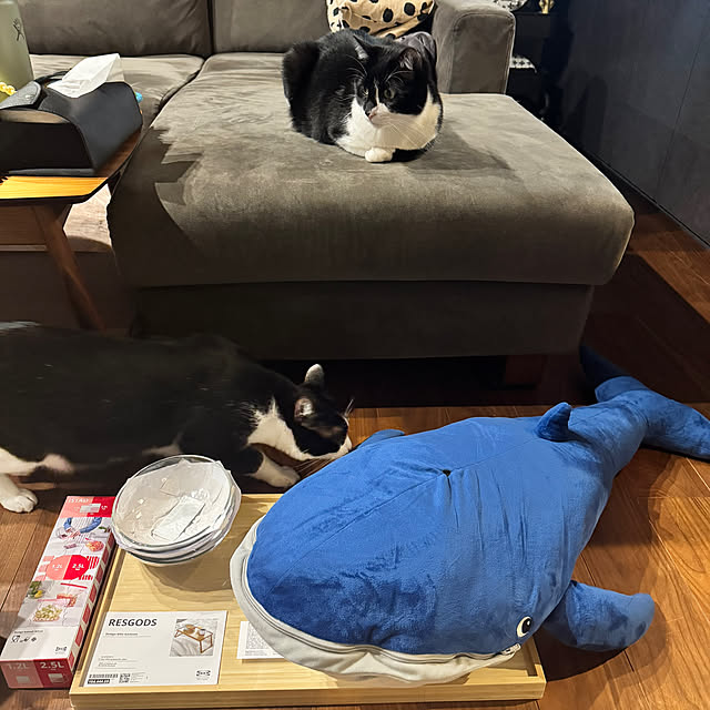 porinさんの実例写真