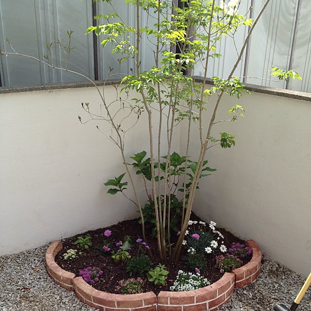 workmamaさんの実例写真