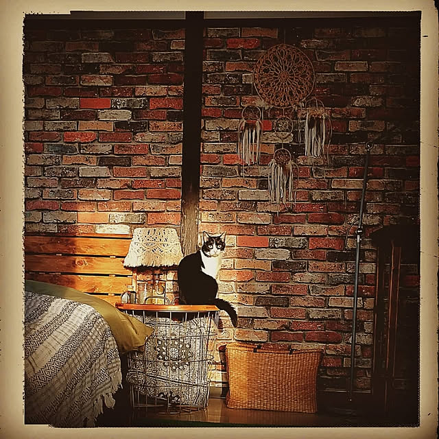 Lilyさんの実例写真