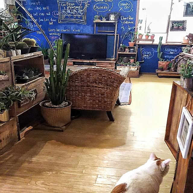 ugさんの実例写真