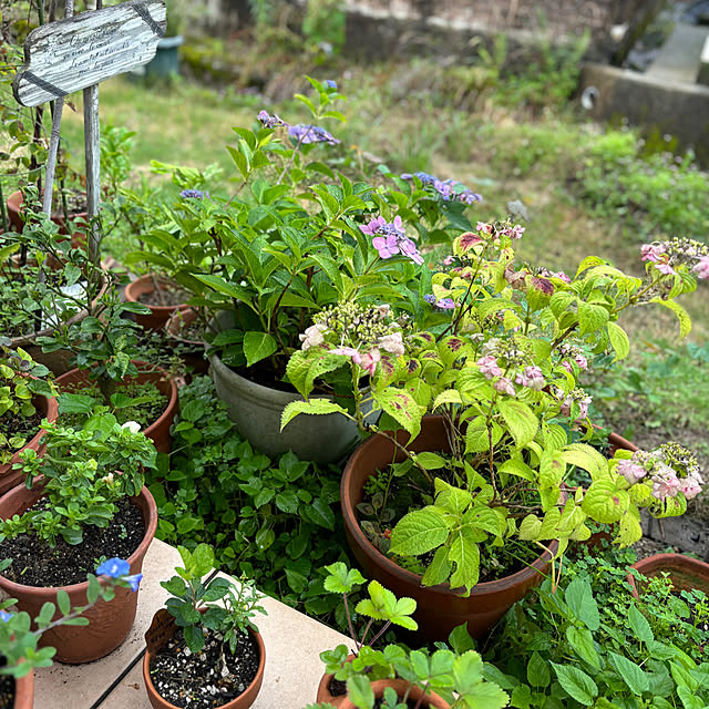 ayomoyuさんの部屋