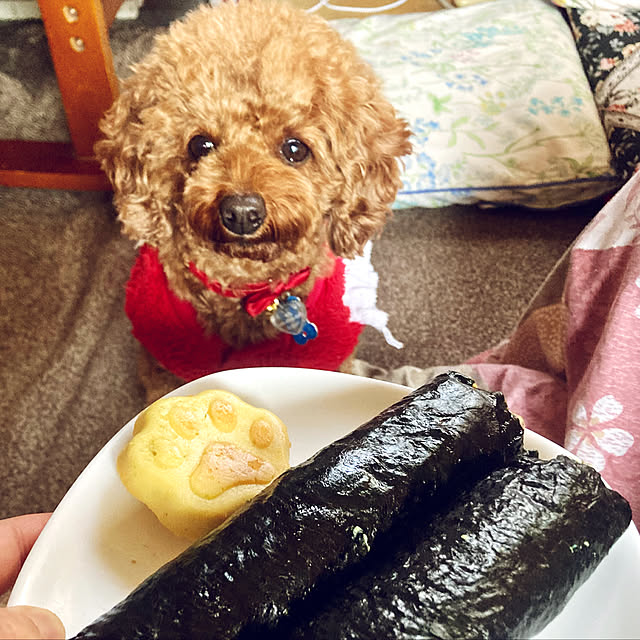 MOMOMAMAさんの実例写真