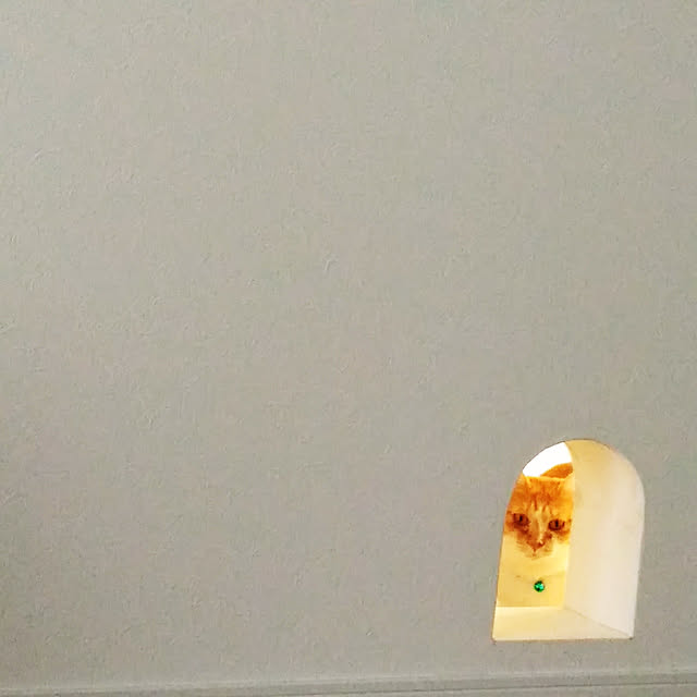 Yさんの実例写真