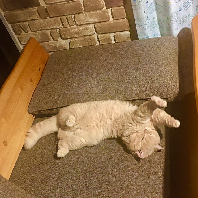naokoさんの実例写真
