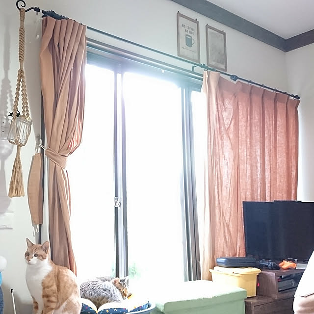 harunaさんの実例写真