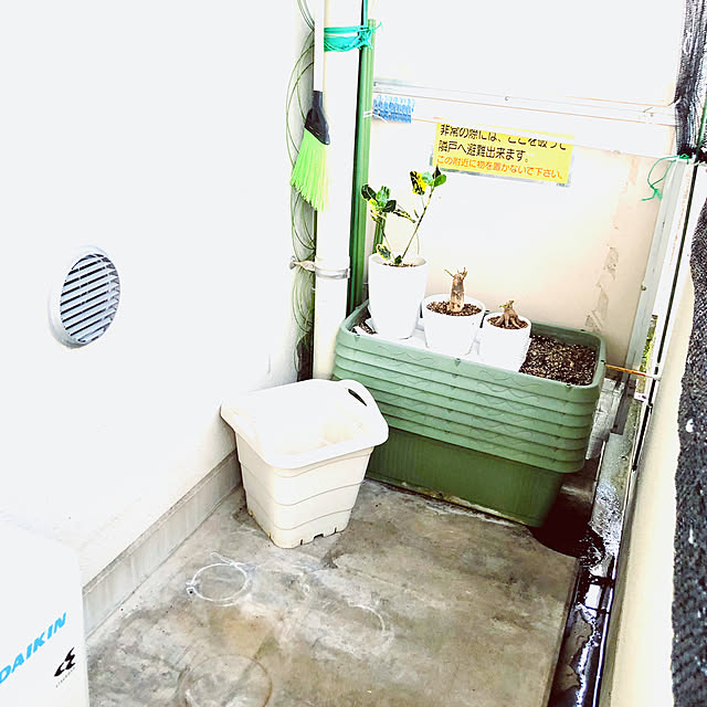 hanachanさんの部屋