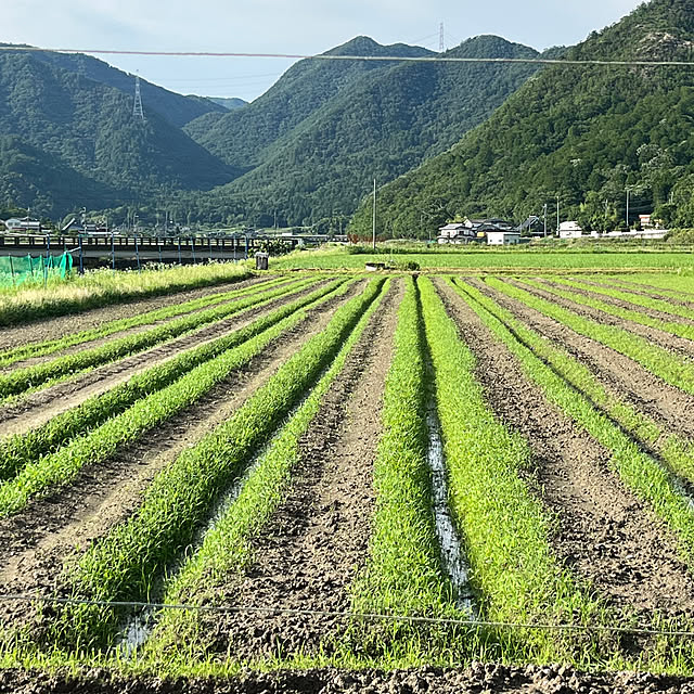 cotaさんの実例写真