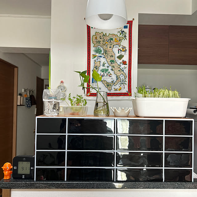 Ryuka-pさんの実例写真