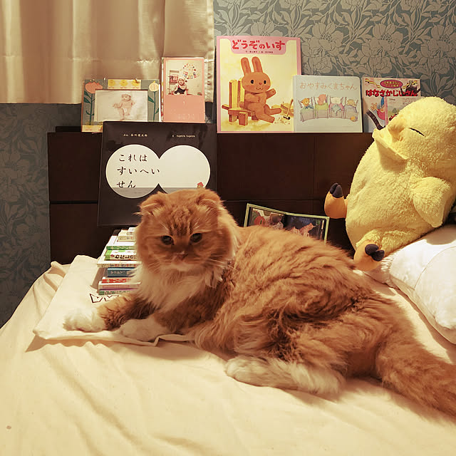 piyolandさんの実例写真
