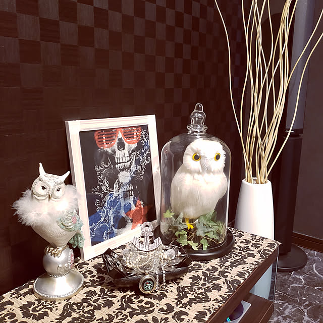 zenoさんの実例写真