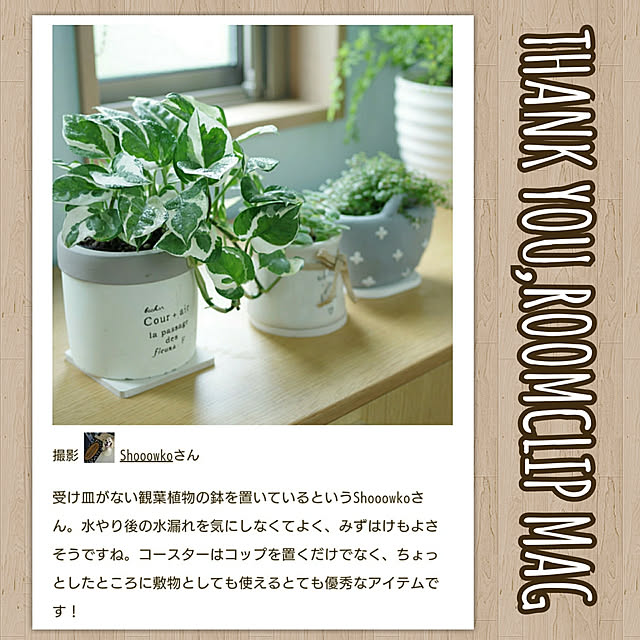 Shooowkoさんの実例写真