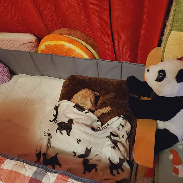 kumutanさんの部屋