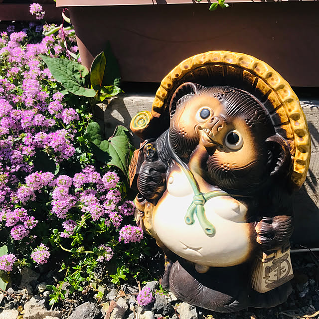 maruさんの実例写真