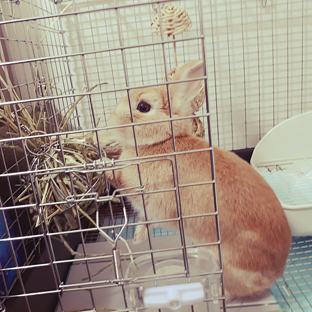 aiさんの実例写真