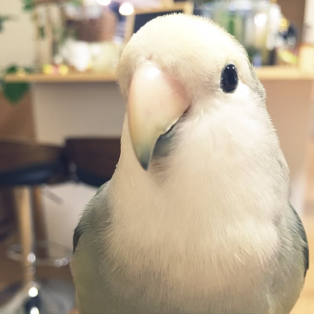 kaotanさんの実例写真