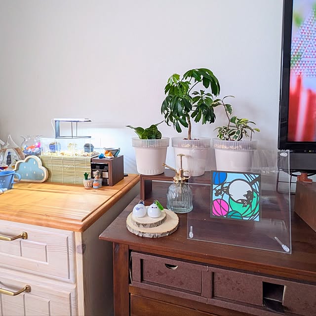 mi-saさんの部屋