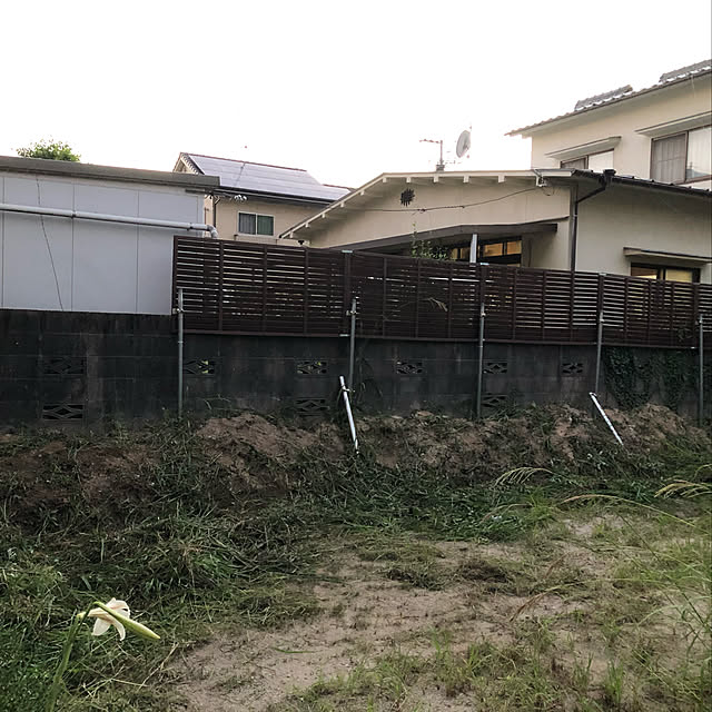 Shigeさんの実例写真