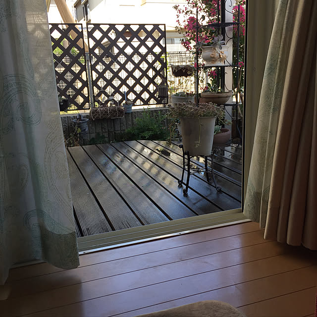 SAYONAさんの実例写真