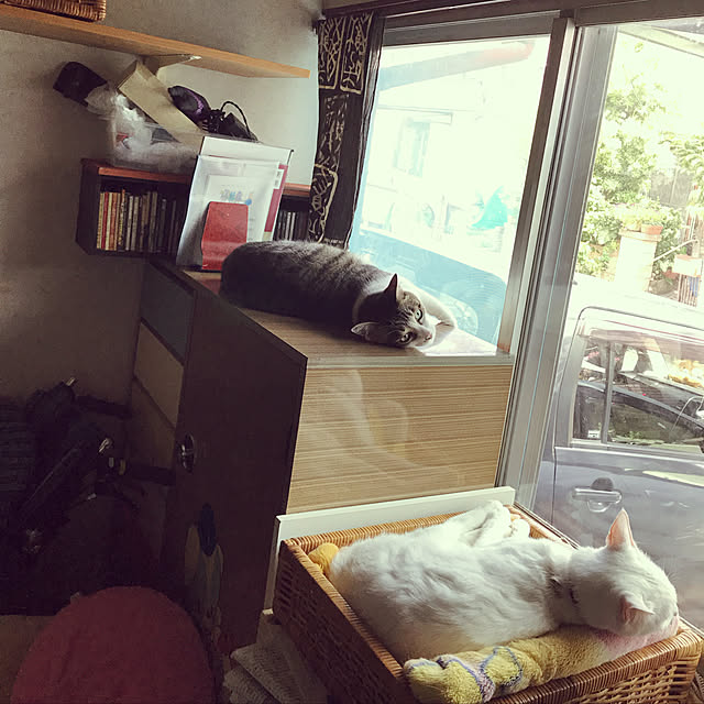 moroyaさんの実例写真