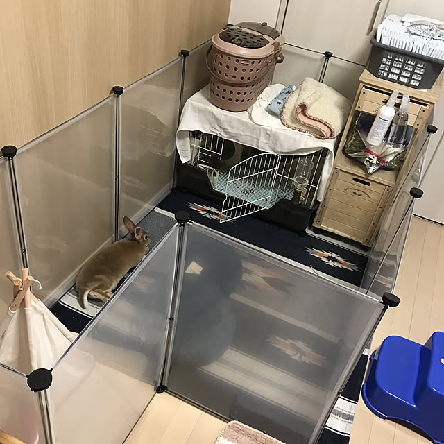 Ruiさんの実例写真