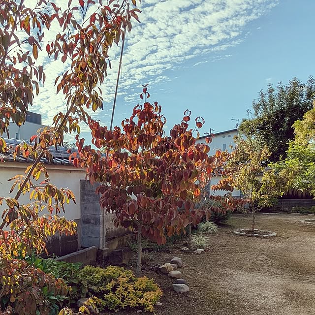 tabasaさんの実例写真