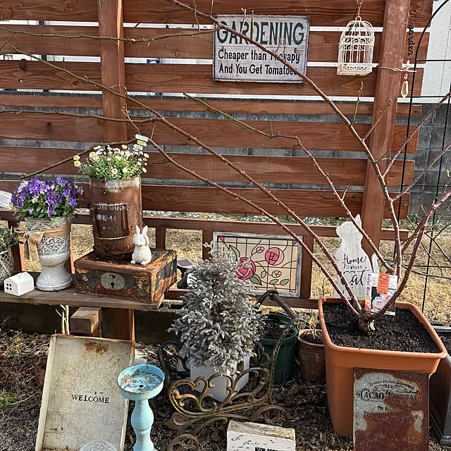 mayumiさんの部屋