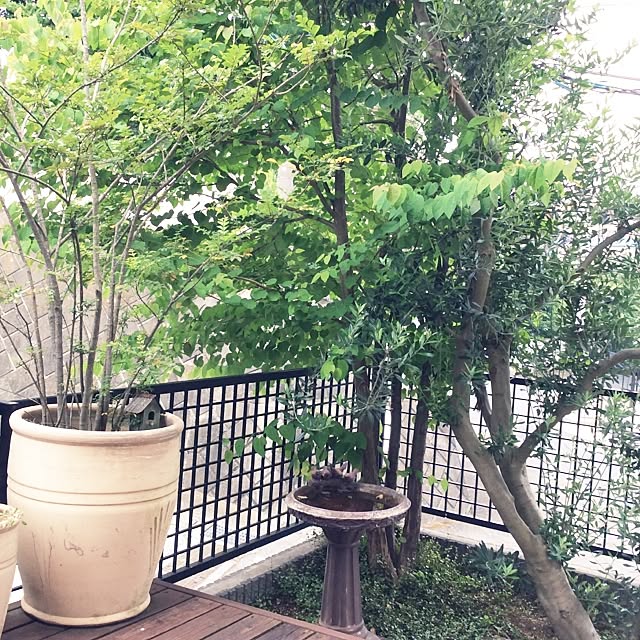 Kimimiさんの実例写真
