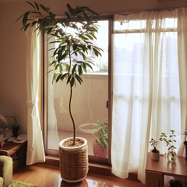shirokinaさんの実例写真
