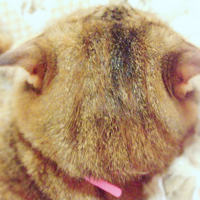 Y.Gさんの実例写真