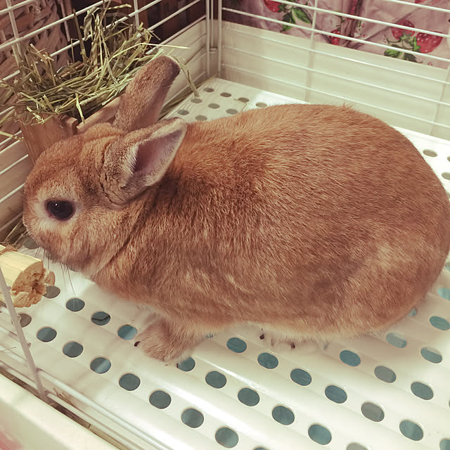 Yasuyukiさんの実例写真