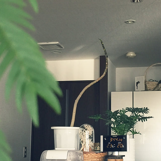 HKSさんの実例写真