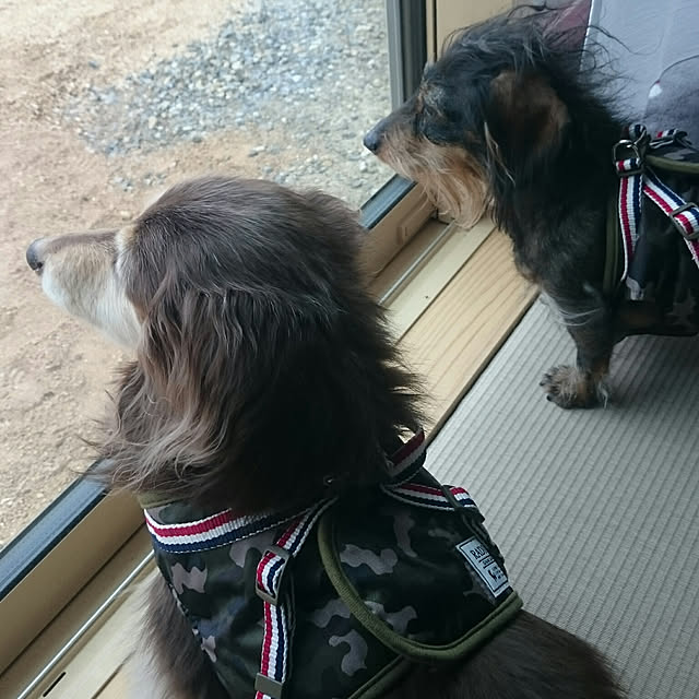 chocococoaさんの実例写真