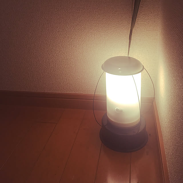 luisroomさんの実例写真