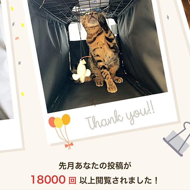 Kurehaさんの実例写真